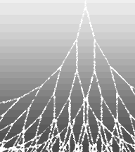 branchingDiagram